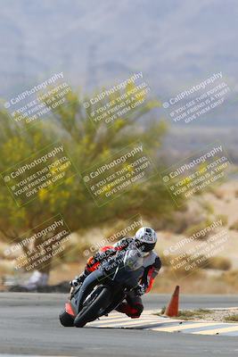 media/Apr-10-2022-SoCal Trackdays (Sun) [[f104b12566]]/Turn 5 Tree of Life (1040am)/